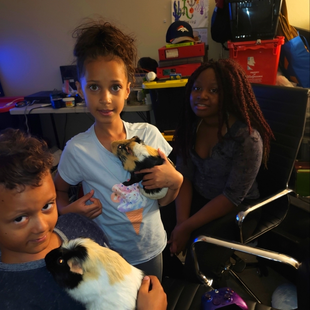 GUINEA PIG PARTY PICS FOR MOCHI AND SNICKERS!💖💖💖